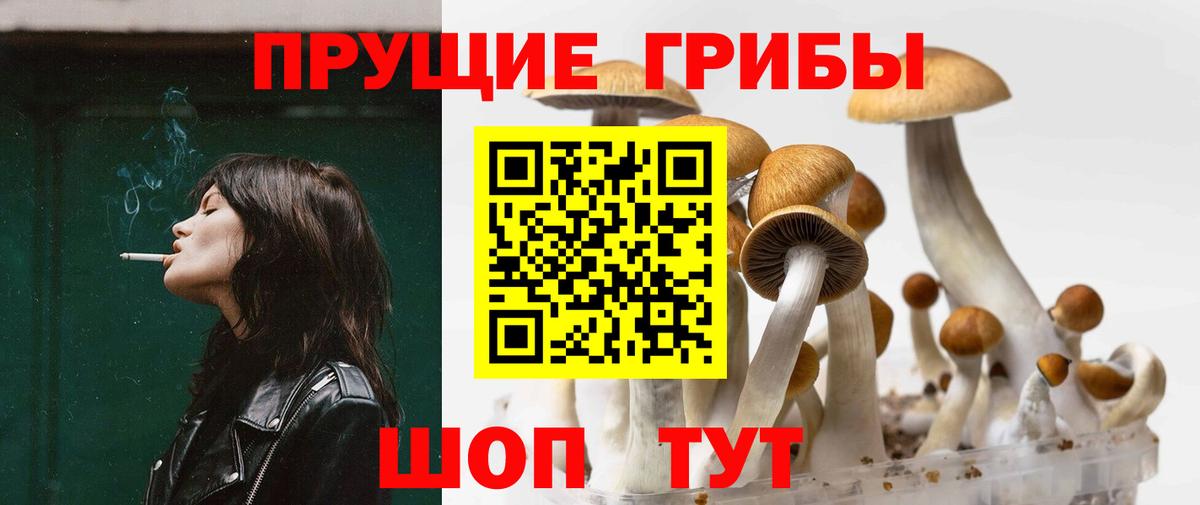 Дятьково  Галлюциногенные грибы ЛСД  Вход с VPN  Псилоцибиновые грибы MAGIC MUSHROOMS 